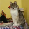 Отзыв от Любовь Лопатина